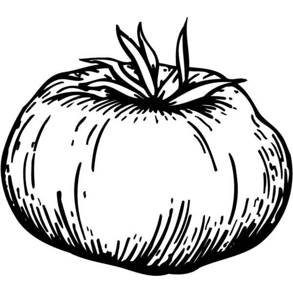 VEG015 Thumbnail