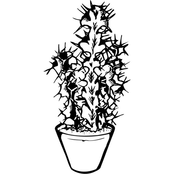 CACTUS04 Thumbnail