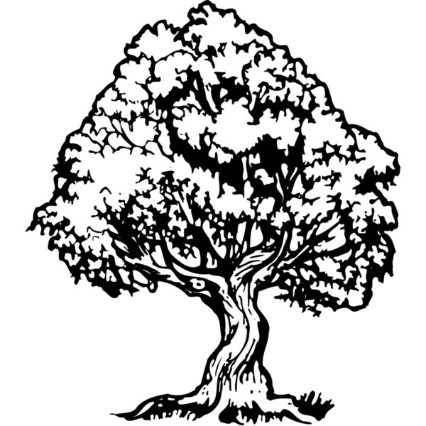 TREE0026 Thumbnail