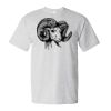 Unisex Essential-T T-Shirt Thumbnail