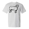 Unisex Essential-T T-Shirt Thumbnail